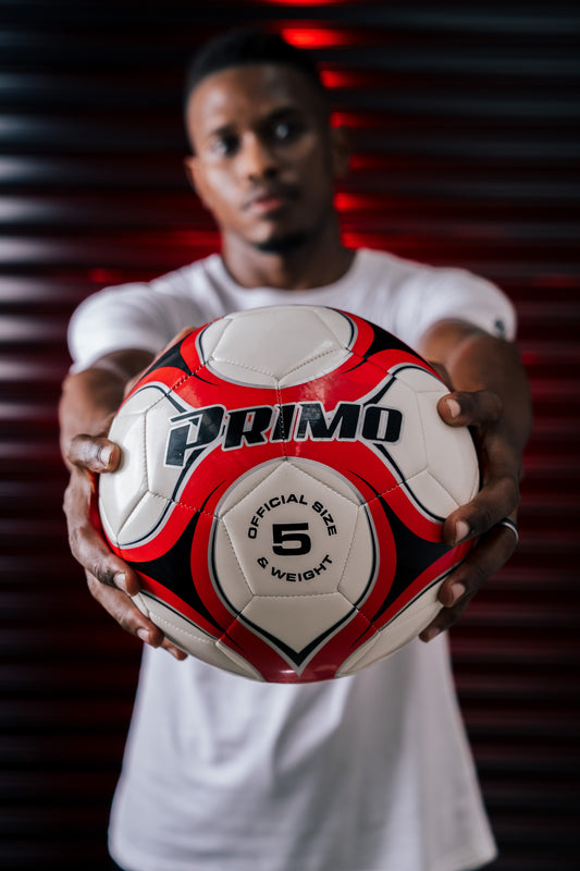 Forza Training Ball Size 5