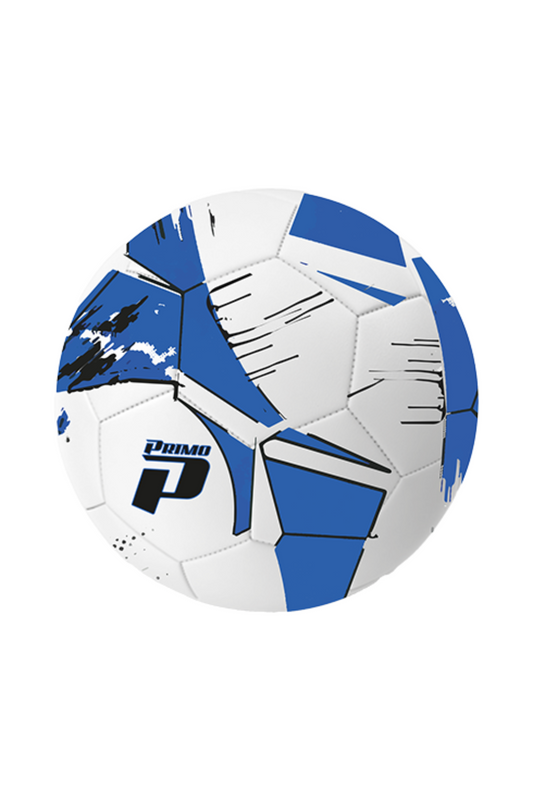 Striker Training Ball